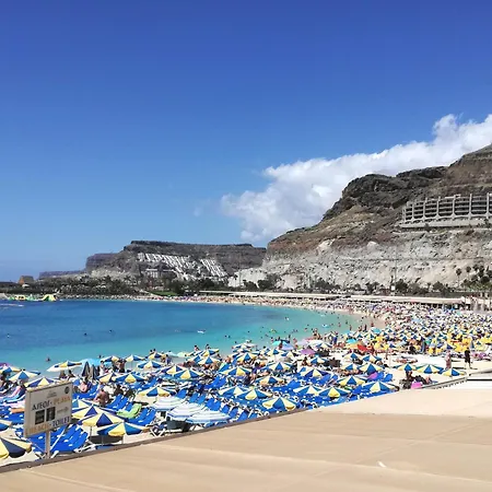 Apt With Sea View And Large Swimming Pool Amadores