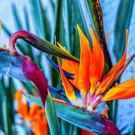 Apt With Sea View And Large Swimming Pool