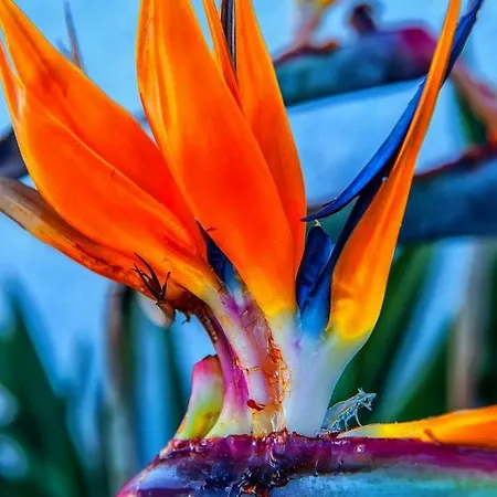 Daire Apt With Sea View And Large Swimming Pool